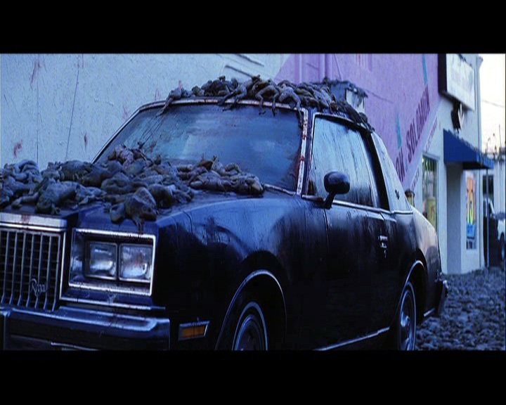 PDVD_001.jpg