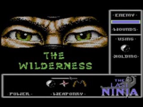 The Last Ninja Wilderness